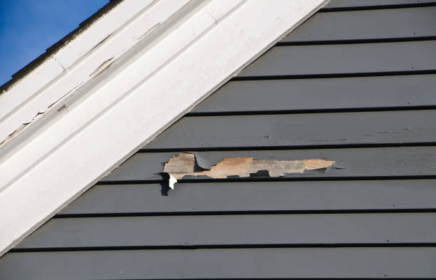 Siding for Commercial Buildings in Brea, CA